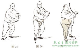 杨式太极拳第十九式提手上势