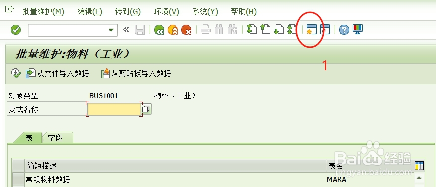 SAP S4 物料描述批量修改