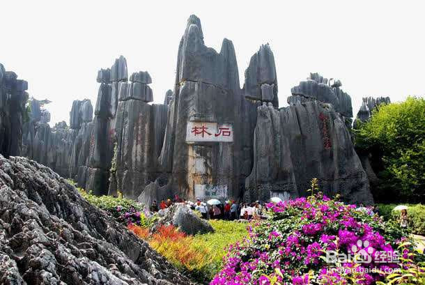 到云南旅游，有哪些值得去的景点呢？