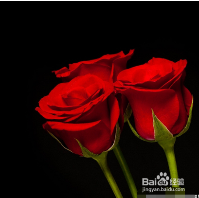 喜欢一个人如何表白?