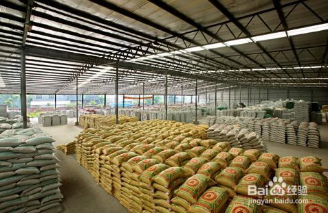 发芽的稻谷能做什么