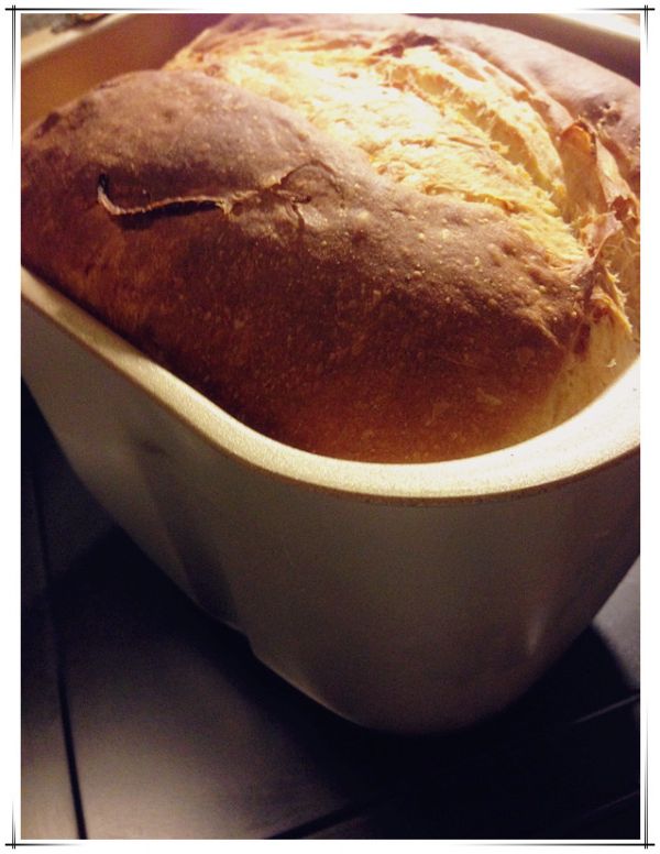 天然酵种橙皮丝牛奶吐司