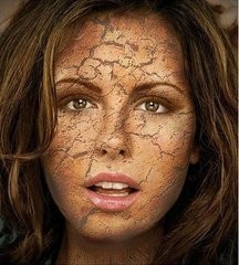 把用过的茶包用到极致！