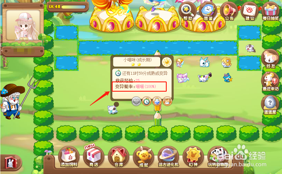 奥比岛中的动物喵喵怎么获得