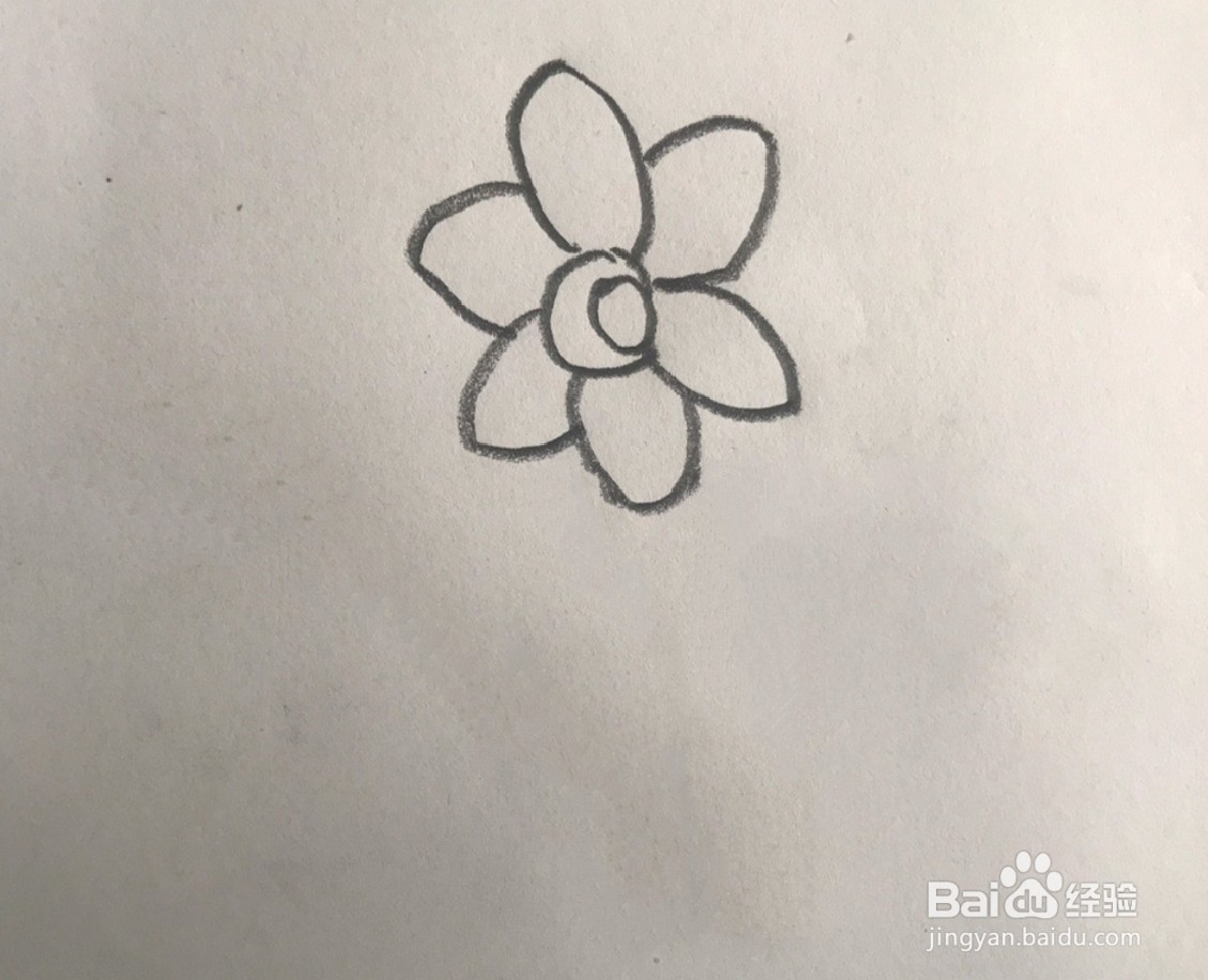 【简笔画】水仙花的分步画法