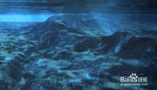 海钓技巧经验
