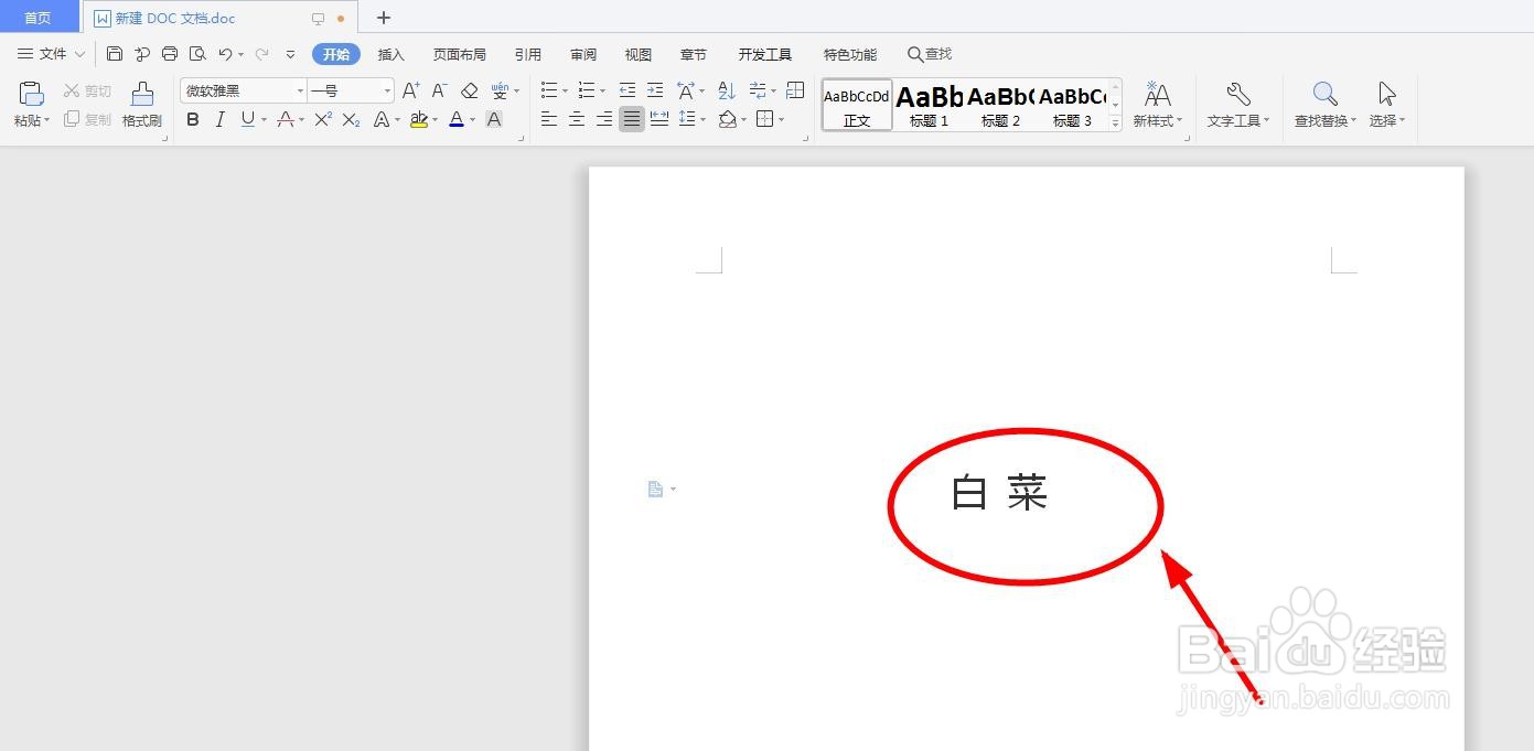 怎么用word软件给“白菜”添加拼音以及拼写声调