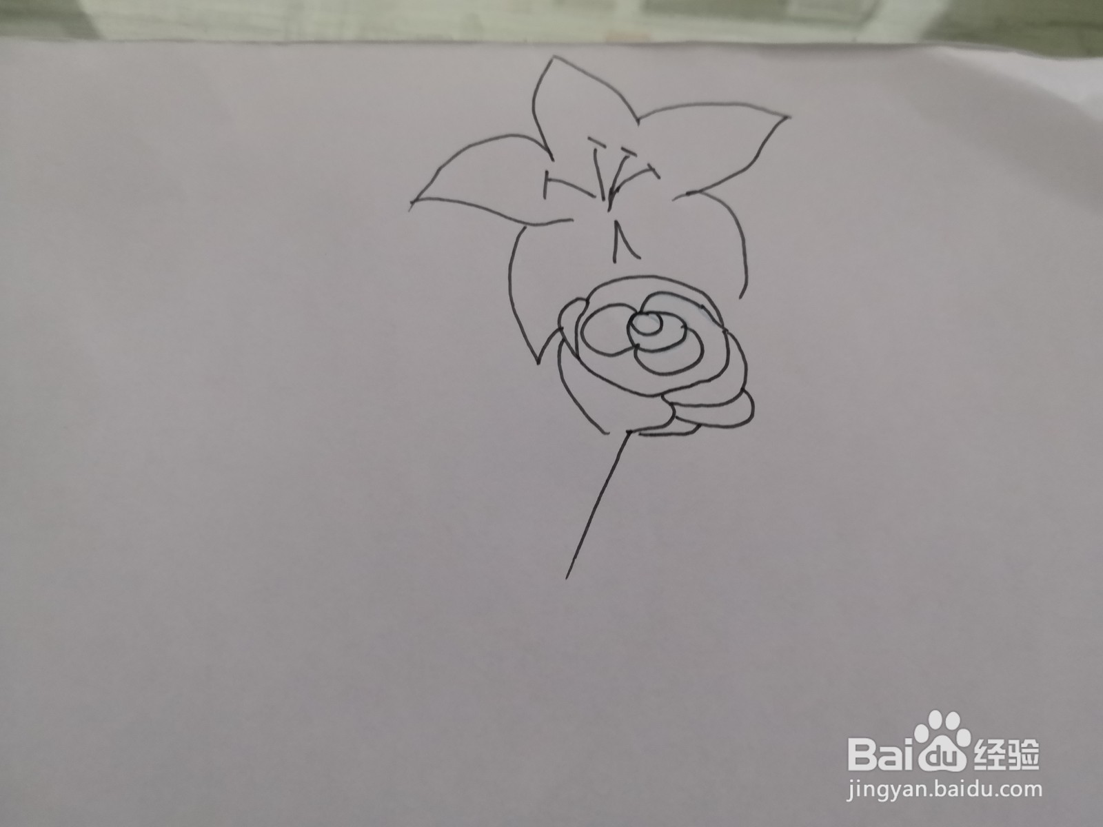 简笔画花朵图片