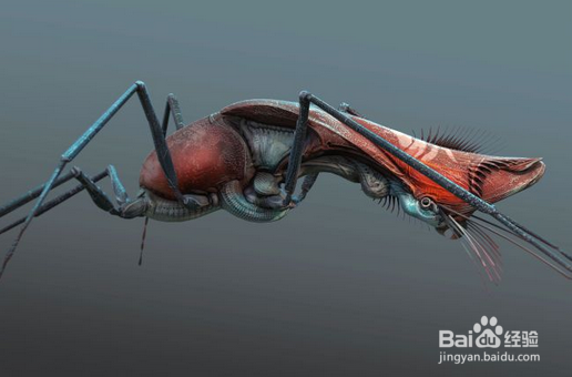 ZBrush结合Maya设计和建模生物全过程(下)