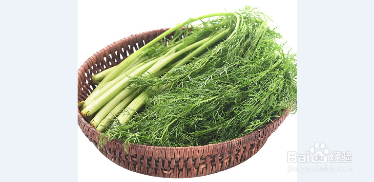 小茴香菜包饺子做法