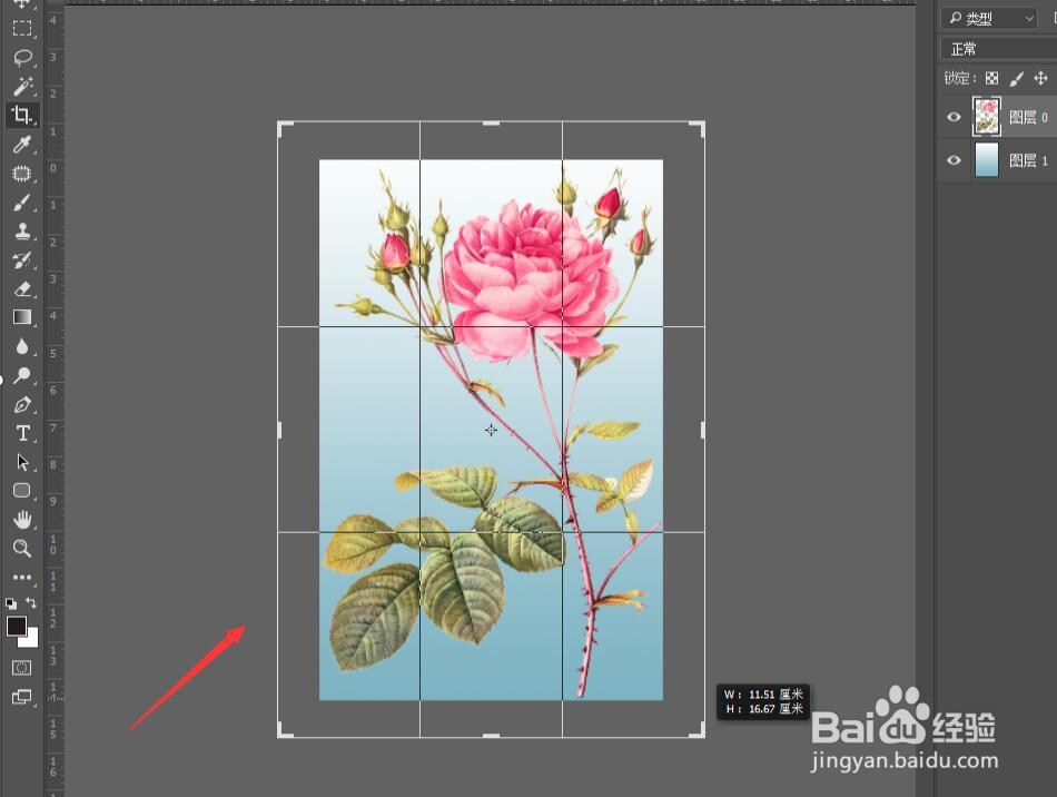 Photoshop如何用裁剪工具来扩展画布