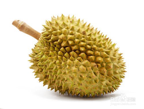 菠萝蜜和榴莲的区别？