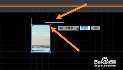 cad导入图片后调比例