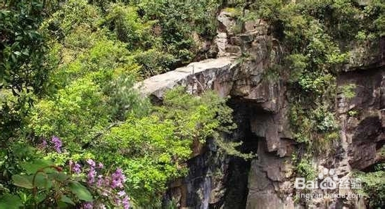 五一张家界自驾游