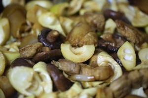 养生食补小野笋香菇焖肉的做法