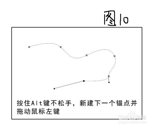 图文教程让您轻松掌握PS中钢笔工具的使用方法