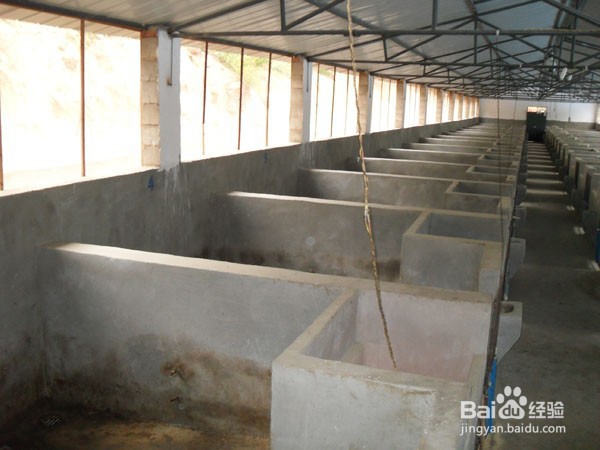 如何确定猪舍最佳环境？