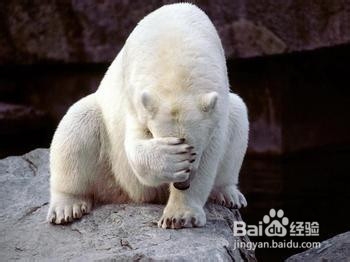 这样搭讪容易拿到女生电话号码