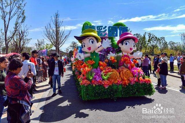 怎么赞扬活动举办得好