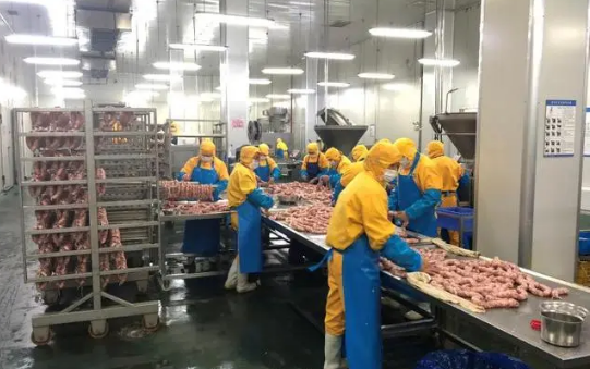 农村加工厂项目有哪些