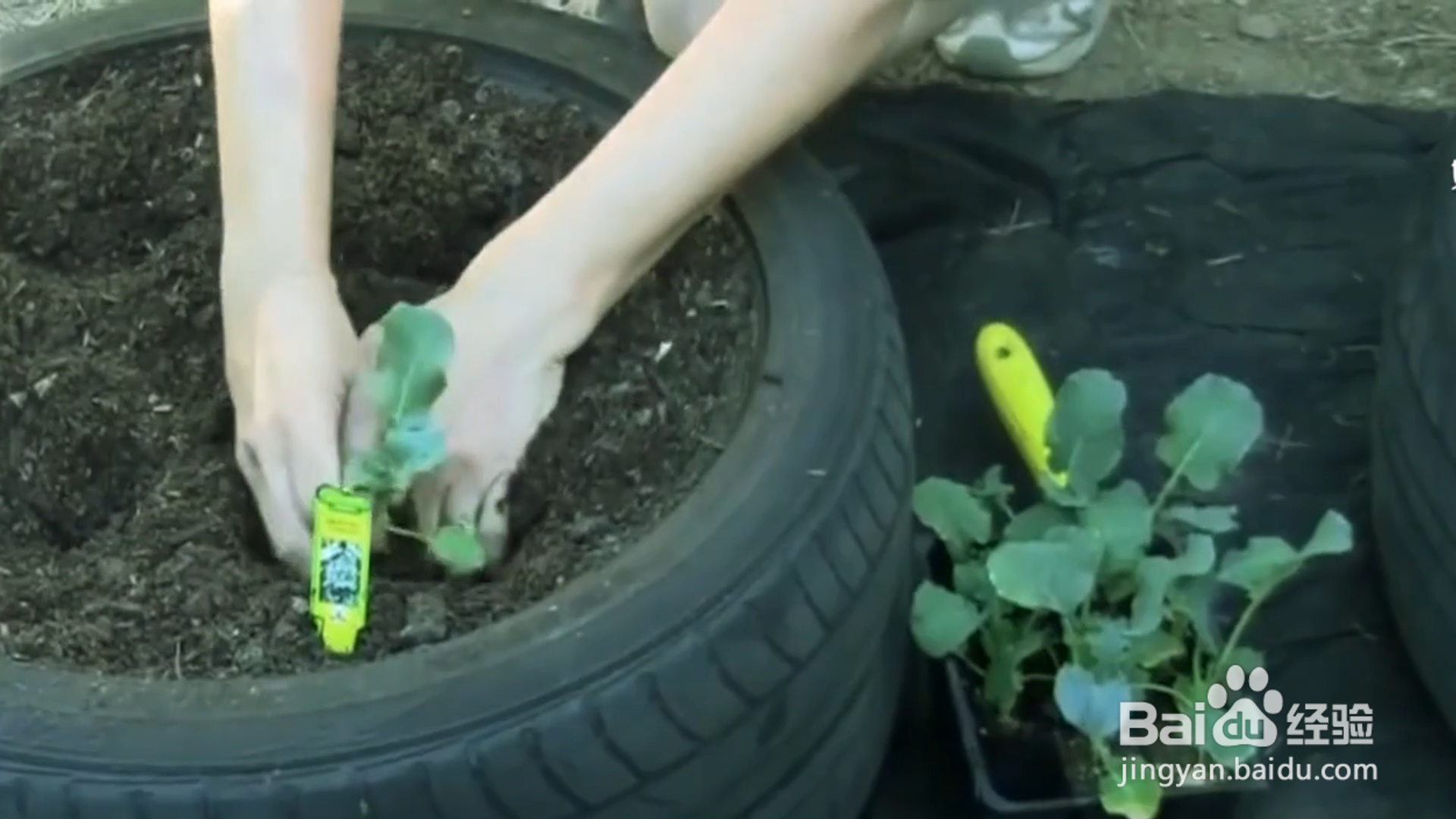 如何巧用家里的旧轮胎?