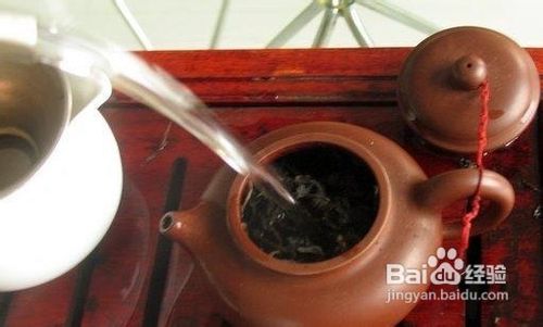 怎样泡出一壶普洱茶