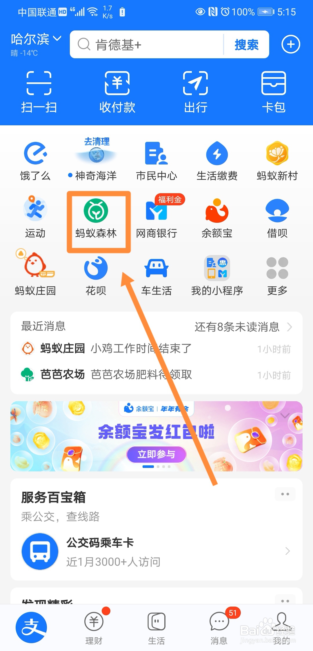在支付宝里怎么开启天天能量雨
