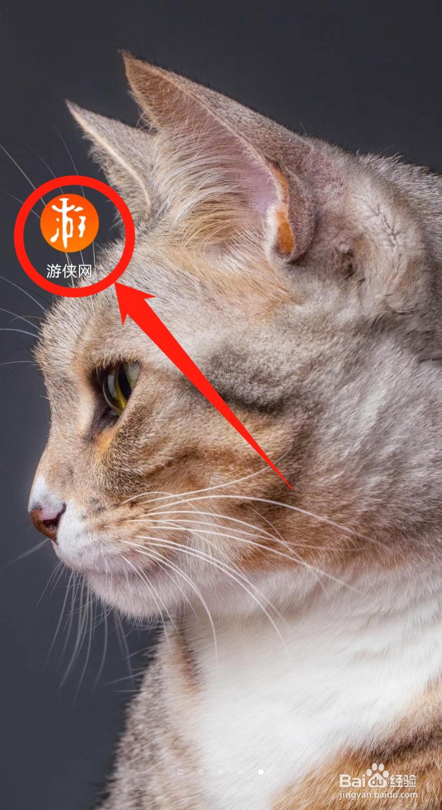 如何清除游侠网app的缓存