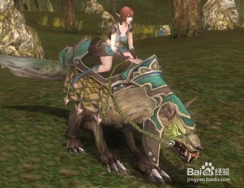 金鬃的缰绳怎么获得