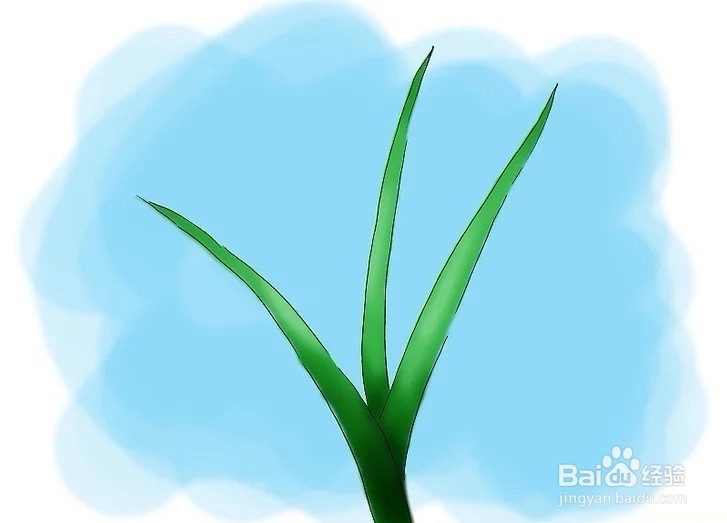 怎么辨别莎草？