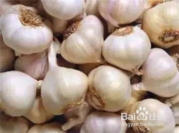 每天都要吃这儿几种食物对身体有好处