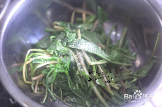 蒲公英的吃法和做法