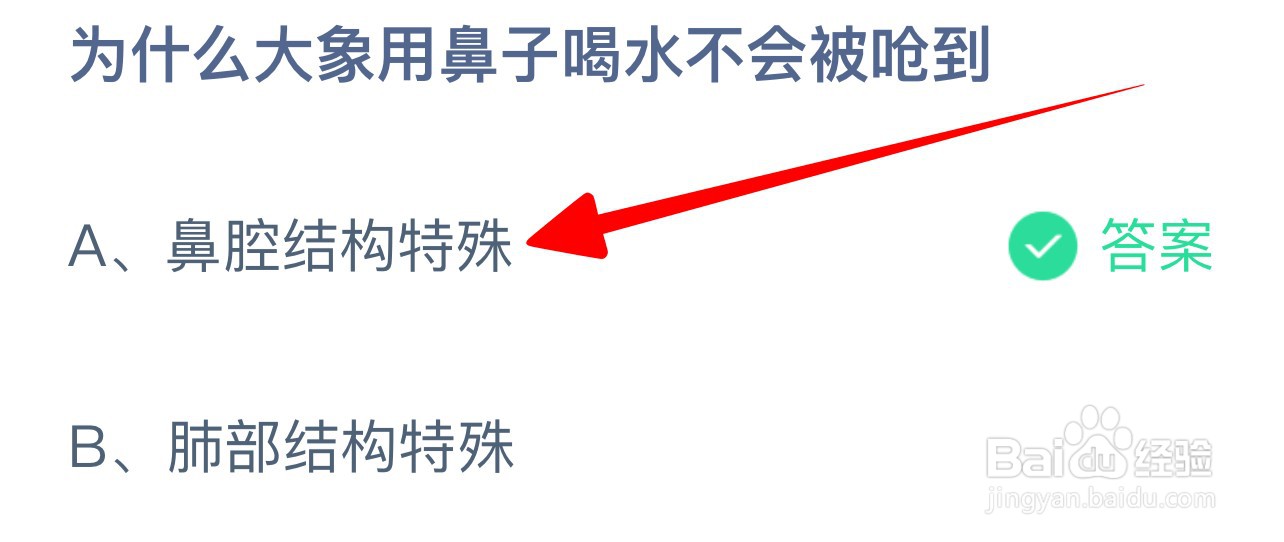 为什么大象用鼻子喝水不会被呛到蚂蚁庄园答案