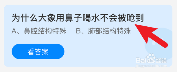 为什么大象用鼻子喝水不会被呛到蚂蚁庄园