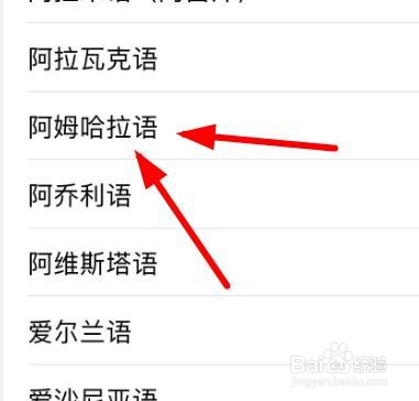 iPhone14如何设置音频语音为阿姆哈拉语