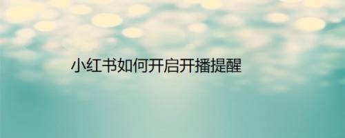 小红书如何开启开播提醒