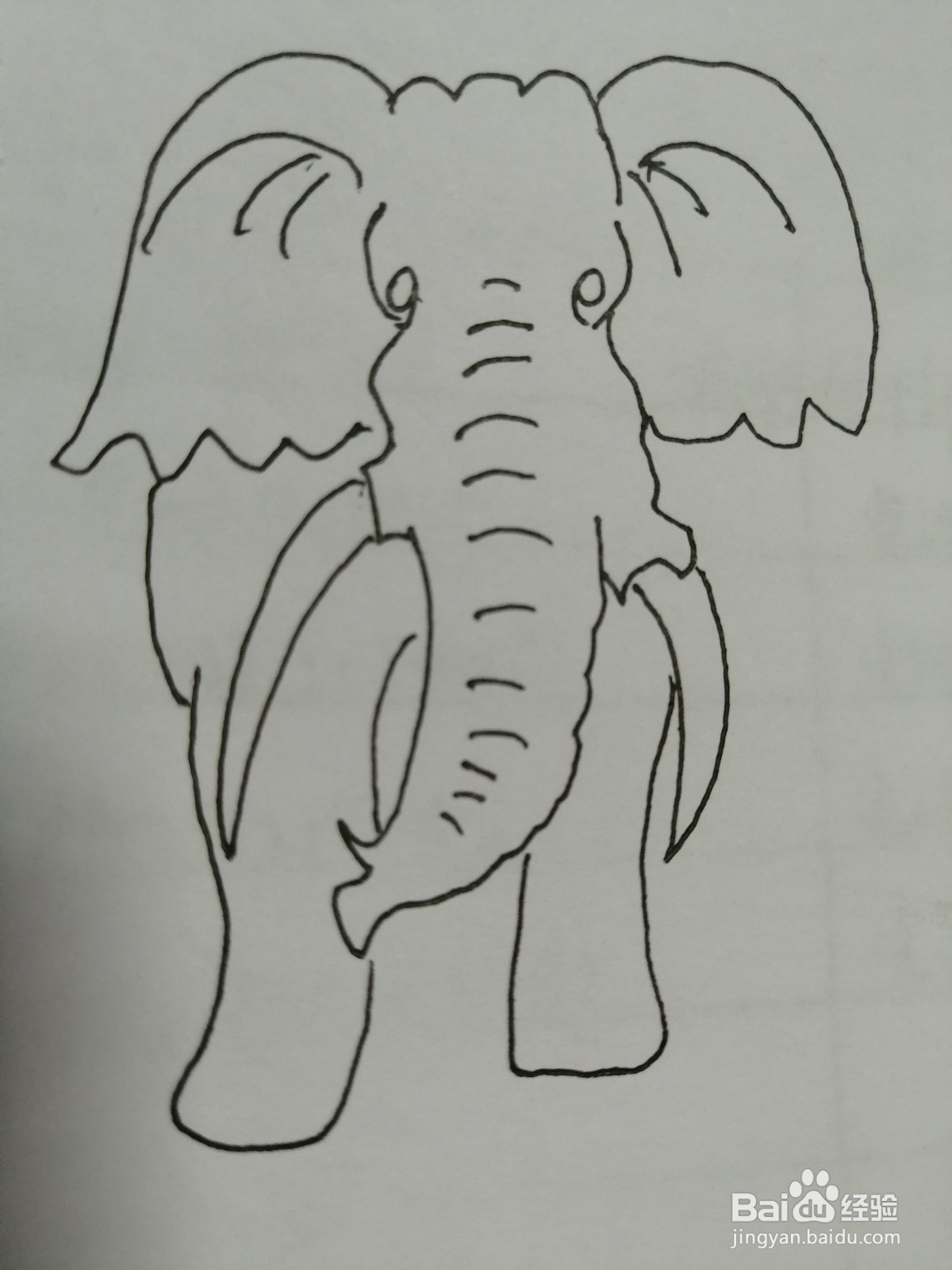 简笔画大象怎么画