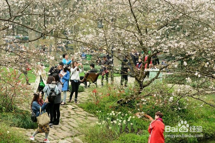 带孩子“踏青”四大注意