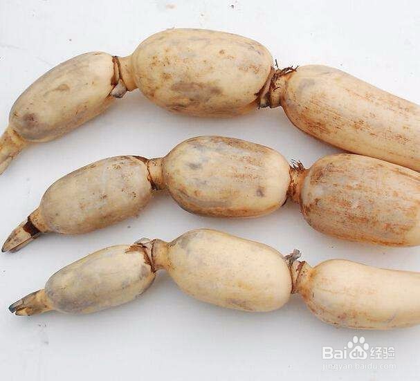 教你怎么挑选一些常见的优质蔬菜