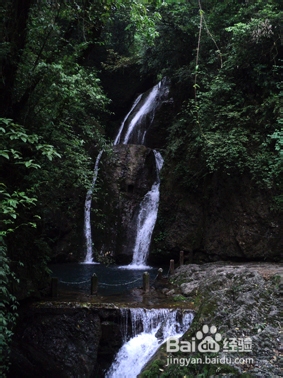 青城后山—泰安古镇旅游：[7]登青城后山