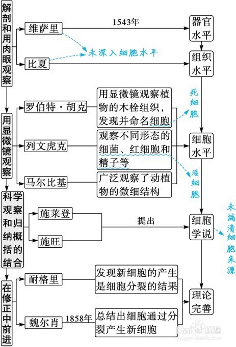 高中生物一轮应该如何学习