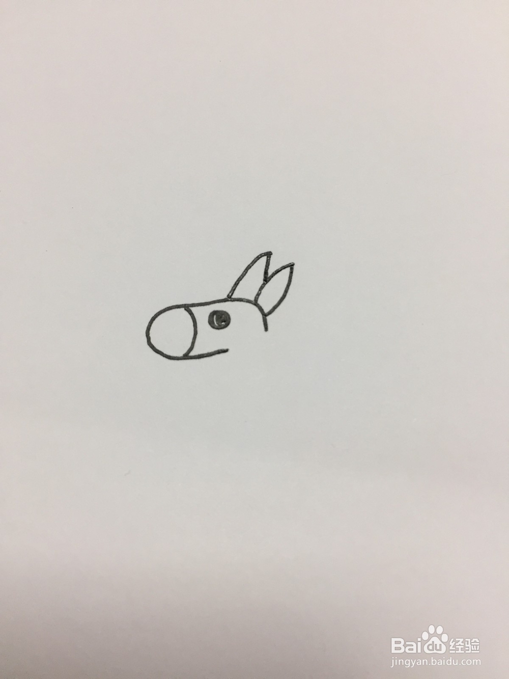 简单的画小毛驴