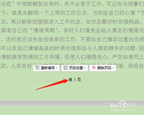 办公软件怎样修改页码格式