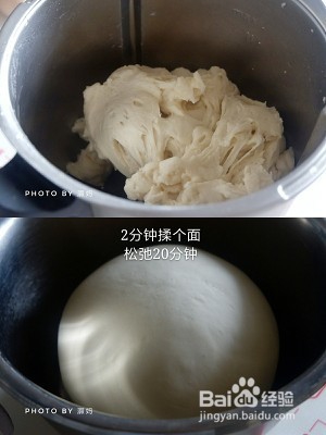 养生食补四季豆鲜肉包的做法