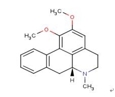 <b>荷叶灰里祛痰湿的主要成分</b>