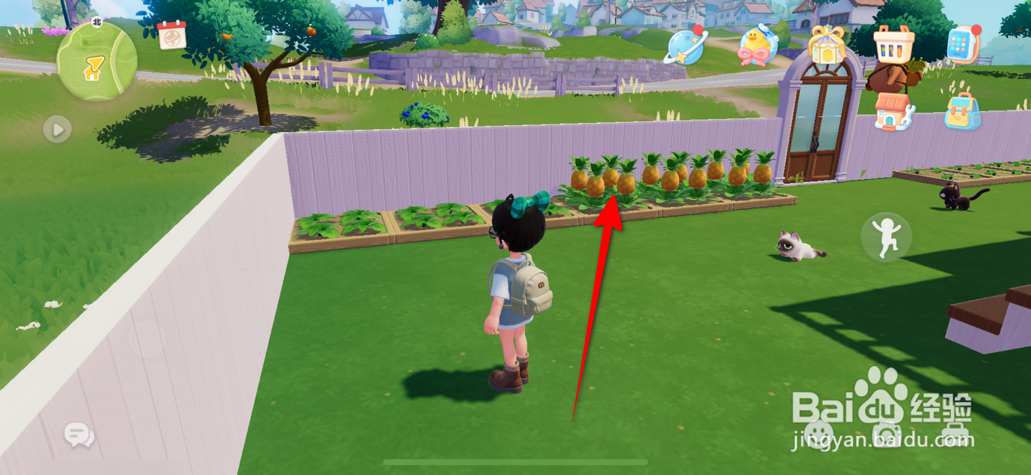 心动小镇怎么获得园艺熟练度