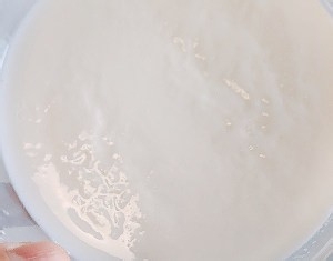 在家也能制作的葡萄干核桃司康