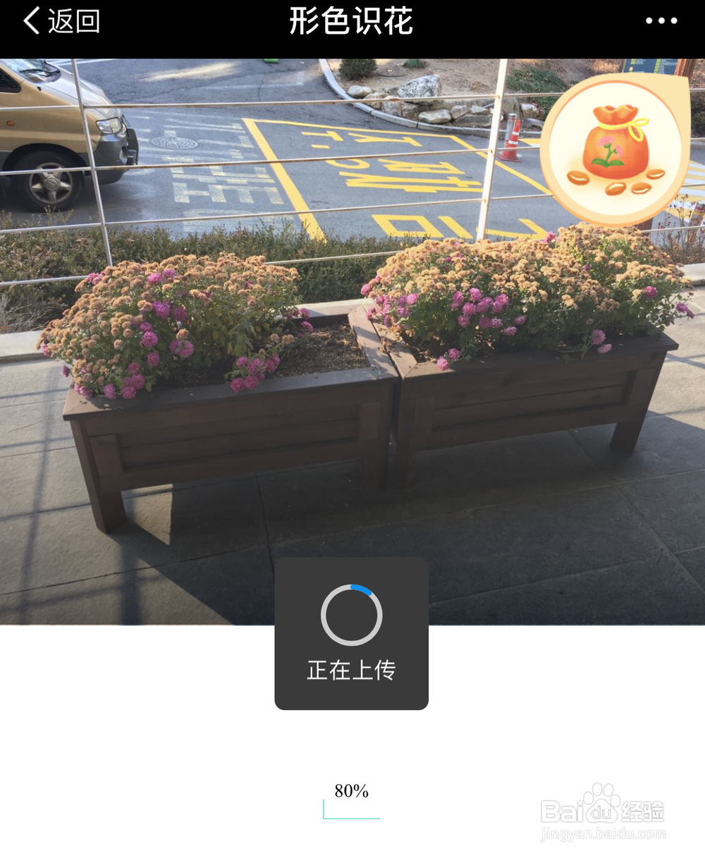 支付宝怎么识别植物和花