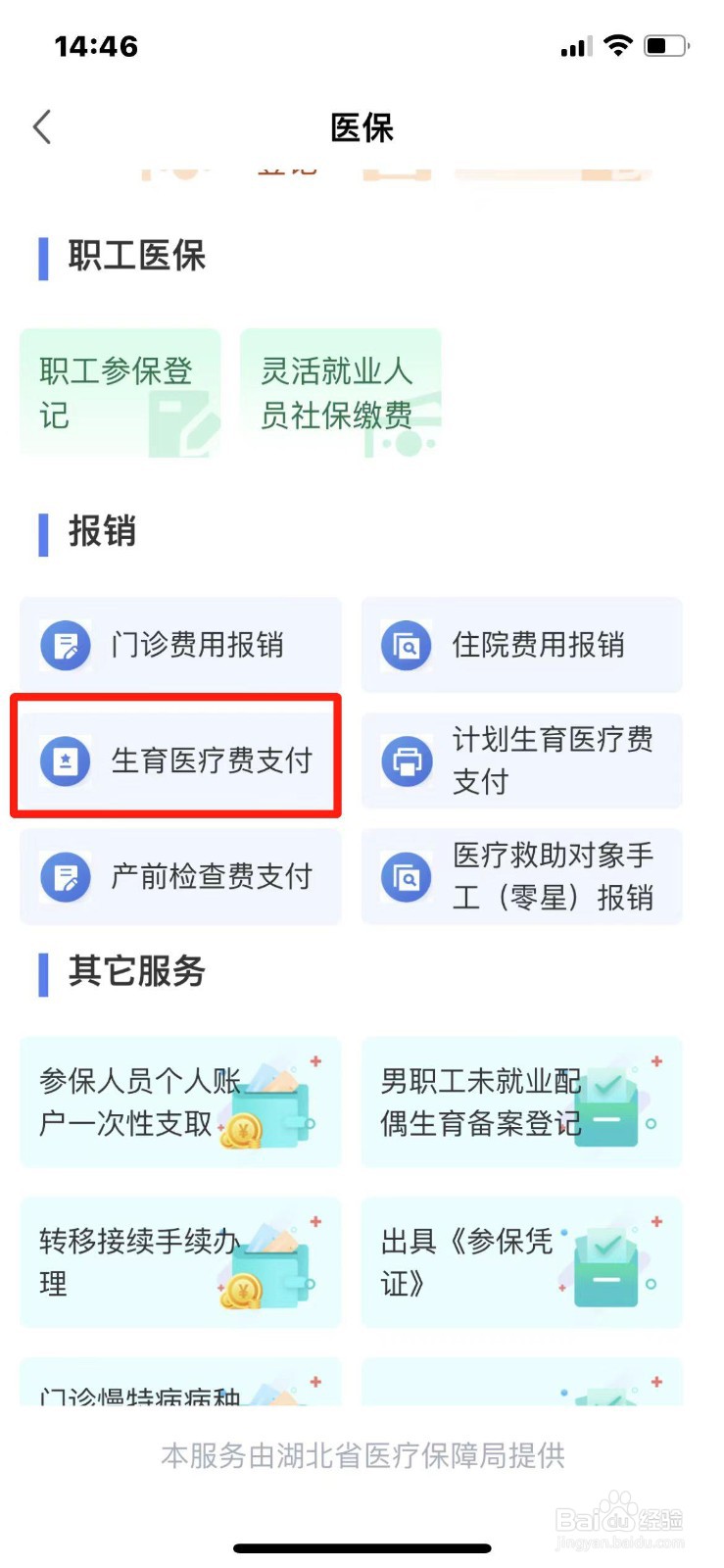 湖北省生育医疗费支付怎么申请办理