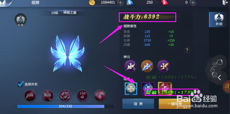 多兰大陆如何培养翅膀,培养翅膀攻略